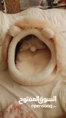 2 بيت قطه غير مستعمل