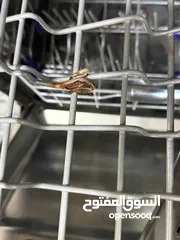  6 غسالة صحون LG مستعمل