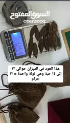  3 عرض العيد الوطني انظر الوصف