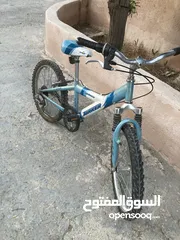  3 بسكليت ياباني اصلي نمرة 20