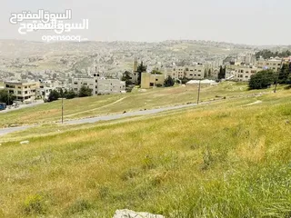  3 قطعة ارض للبيع في صويلح الكمالية
