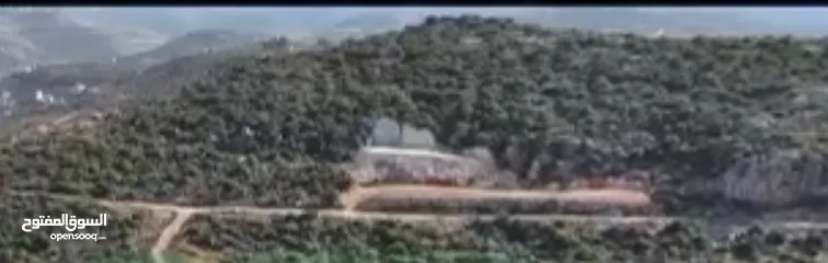  2 أرض مطلة كفر عين مجرفة جاهزة واصل شوارع وخدمات