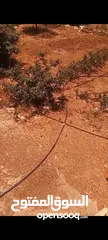  1 ارض للبيع ع 3شوارت واصل كل الخدمات  في منطقه بيرزيت