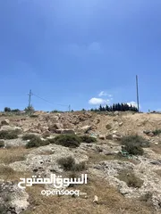  10 ارض سكنية في اجمل مناطق الكمشه