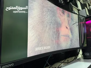 3 شاشة لينوفو Lenovo G34w-10 مقاس 34 بوصة - الجانب اليمين في كسر بالشاشة تقريبا 17٪؜ من الشاشة