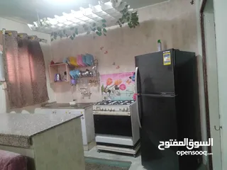  6 شاليه بقرية كنارى بيتش الاستثمارى