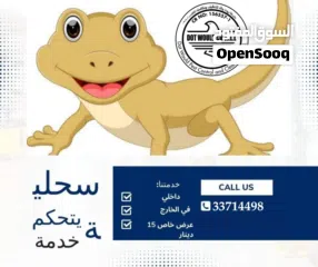  8 paint/wall paper/plishing/cleaning/pest control services/ Electrical and plumbing services