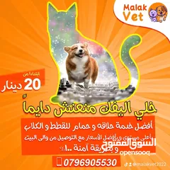  20 خدمات بيطرية متكاملة للحيوانات الاليفة