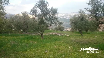  1 للبيع مزرعه في السلط المغاريب مطله جميع الخدمات متوفره