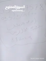  11 فيلا أريحا
