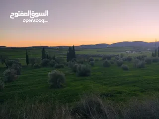  16 لا تضيع الفرصة! عروض عقارية مميزة في نابلس وقراها مع خدمات هندسية – تملك أو بدّل عقار الآن