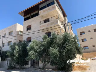  1 شقه للايجار