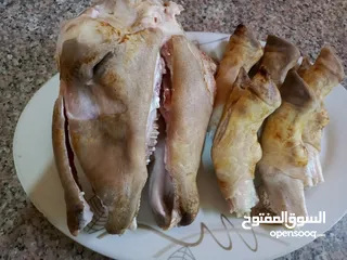  2 كرشات وفوارغ على كيفك كيفك