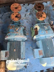  1 طرنباط مازوط