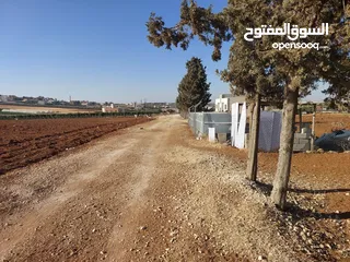  7 مادبا ماعين ارض زراعية مميزة عليها مزرعة زيتون جاهزة واصل جميع الخدمات مساحتها 4500 م