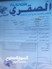  7 كيا سيراتو 2010