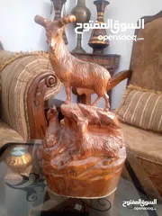  15 مناظر حيوانات للبيع بسعر مغري