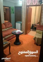  5 شقق الإيجار اليومي واسبوعي اربد شارع الجامعه خلف فندق سفن ديز سوبر دلكس