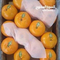  3 pakistani orange  (kinnow )