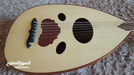  5 عود للبيع موجود في اربد