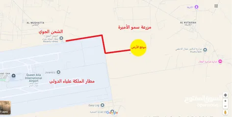  3 الكتيفة أفضل حوض , كيلو متر واحد فقط عن مطار الملكة علياء الدولي, 700 م عن مزرعة سمو الأميرة الموقر