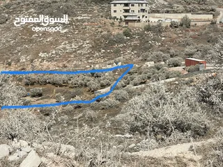  2 قطعة أرض مميزة