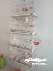  3 اقفاص للطيور للبيع