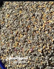  1 زعتر الضفة نخب اول  شغل بيت  زعتر الضفة نخب اول