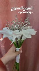  1 مسكات عرائس للبيع — شغل مرتب وراقي