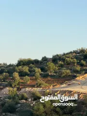  22 للبيع قطعة ارض ثلاث دنمات ونصف منطقة نادرة جرش بسعر مميز