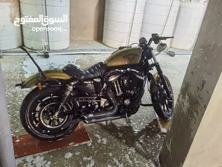  7 Iron883 very clean
