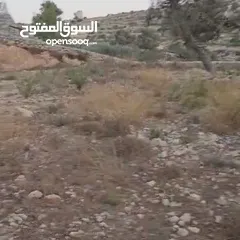  1 ارض في المطل دورا للبيع