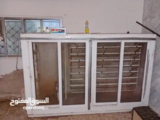 1 فقاسة بيض حجم كبير