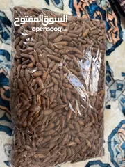  12 Pine Nuts, صنوبر، جلغوزه