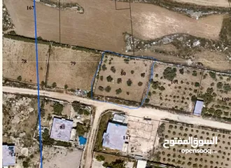  3 ارض للبيعة مساجة 729 متر