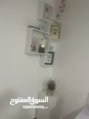  22 Furnished Studio in Al Ain - behind Barjeel Hospital AED 2500