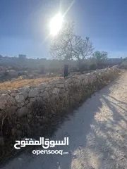  2 ارض للبيع في واد رحال