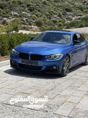  5 محمد حلمي محمود