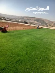  12 نجيل طبيعي وصناعي