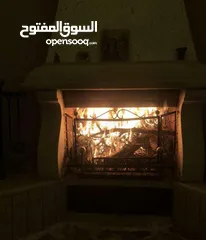  4 مزرعة مميزة و مشجرة للبيع بسعر مغري