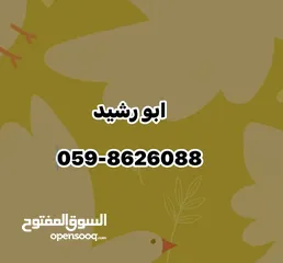  10 مخزن للإيجار  امتداد السكة المعاجين قرب جامعة القدس اول جبل عجرم يصلح لأي شيء تخزين او منجرة وغيرة