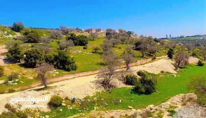  8 شقه ارضيه للأيجار في اجمل مناطق دابوق قرب بيت الزيارة الرهبات الورديه مساحه 240m وحديقة 300m