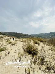  2 ارض 8 دونم للبيع بين بزاريا وبلعا طابو نابلس