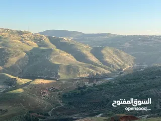  14 ارض للبيع جرش المجدل راس دبوس مطله على سد الملك طلال مساحة 3000متر بسعر مغري جداااااا