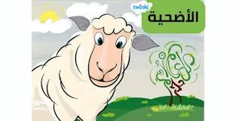  4 لحام وجزار اضاحي