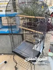  12 عرض على أقفاص العجال ستاند متحرك العرض لمدة أسبوع