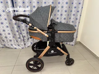  2 StarAndDaisy Luxury Baby Stroller