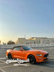  1 Mustang for sale