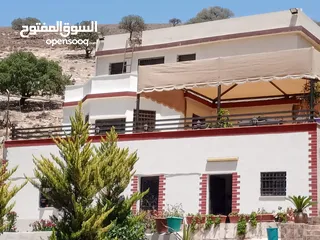  27 للبيع مزرعة أحلامك - مزرعة 3 دونم + فيلا ريفية 220م
