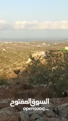  2 القبة الذهبية  شارع بلعا-دير الغصون